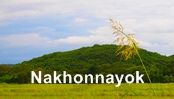 โรงแรม รีสอร์ท นครนายก : Nakhonnayok Hotel & Resort