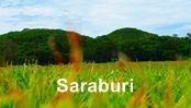โรงแรม รีสอร์ท สระบุรี : Saraburi Hotel & Resort
