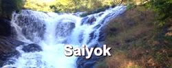 โรงแรม รีสอร์ท ไทรโยค : Saiyok Hotel&Resort