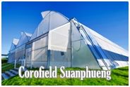โคโรฟิลด์ สวนผึ้ง : Corofield Suanphueng