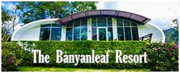 เดอะบันยันลีฟรีสอร์ท สวนผึ้ง : The Banyanleaf Resort Suanphung